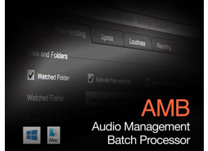 Nugen Audio AMB - Audio Management Batch Processor