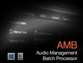 Nugen Audio AMB - Audio Management Batch Processor