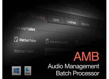 Nugen Audio AMB - Audio Management Batch Processor