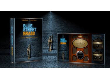 Indiginus Blue Street Brass
