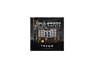 BeatSkillz Bollywood Maharaja