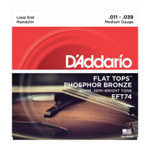 D'Addario Flat Tops Phosphor Bronze Wound Mandolin
