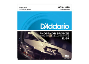 D'Addario Phosphor Bronze Wound Banjo