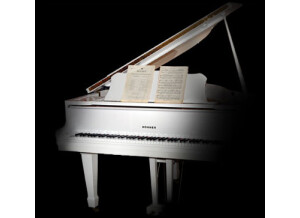 Imperfect Samples Hohner White Baby Grand