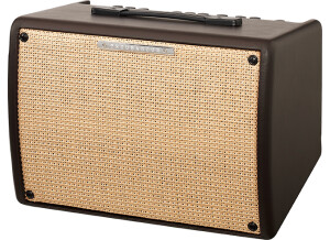 Ibanez Troubadour T30II