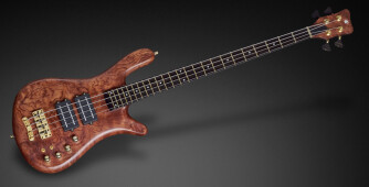 Une Warwick pour le bassiste de Tool