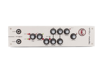 Eden Amplification Terra Nova TN501
