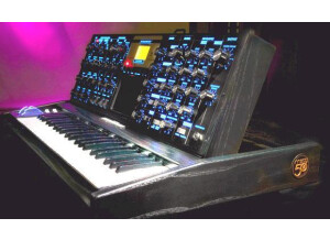 Moog Music Minimoog Voyager Anniversary 50th