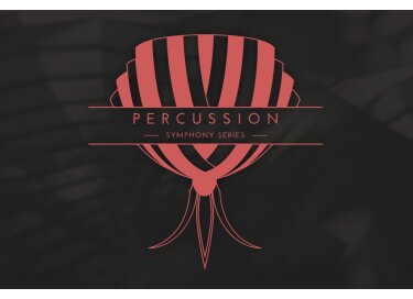 Native Instruments Percussion