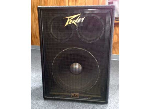 Peavey 1516 Bass Enclosure