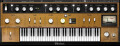 Waves échantillonne un Clavinet D6