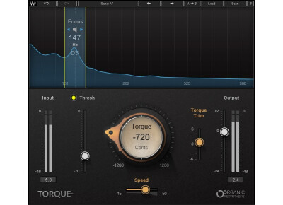 Waves Torque