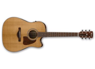 Ibanez AVD9CE