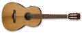 Les nouvelles acoustiques Thermo Aged d'Ibanez