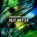 Voir la photo du Native Instruments Deep Matter Native Instruments Deep Matter