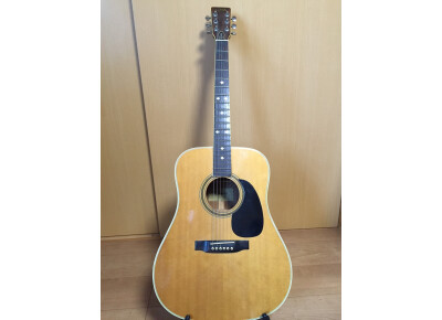 Kasuga K.Country D-300