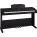 Voir la photo du Roland RP102 Roland RP102