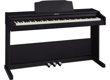 Roland RP102