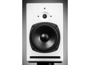 PSI Audio A21-M V4