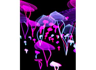 Soundemote Mushroom Generator