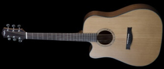 Stanford Durango D40 CM