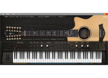 Ample Sound Ample Guitar Twelve 2