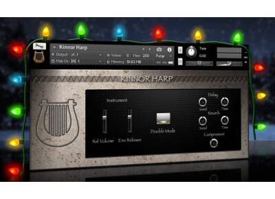 Indiginus Kinnor Harp