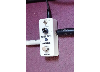 Fame LEF-319 Noise Gate