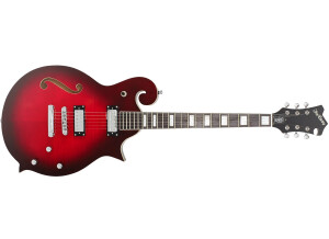 Eastwood Guitars 1975 Morris The Cosey