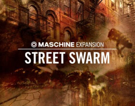 Native Instruments Street Swarm