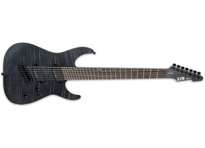 LTD M-1007 Multi-Scale