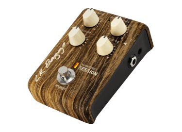 L.R. Baggs Align Session