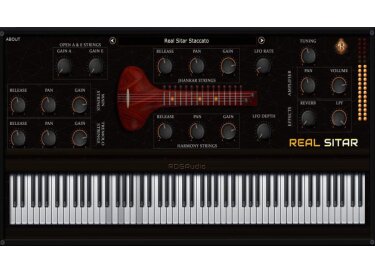 Refined Digital Group Real Sitar