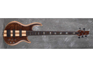 Carvin icon5