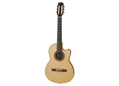 Gibson Chet Atkins CE/CEC