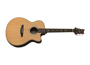 PRS SE A40E