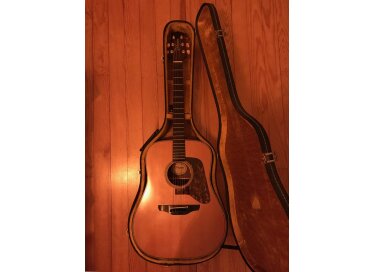 Takamine EN-15