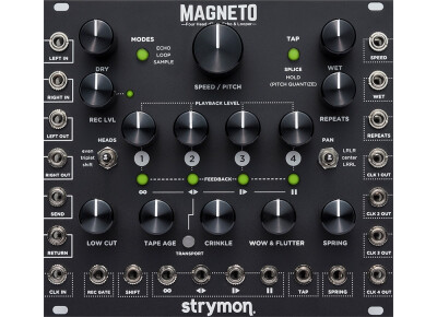 Strymon Magneto
