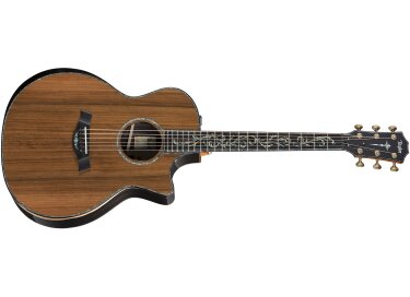 Taylor PS14ce (2018)
