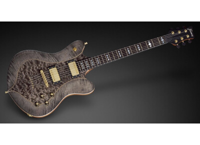 Framus Talisman William Duvall Signature