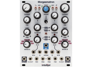 Intellijel Designs Morgasmatron