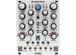 Intellijel Designs Morgasmatron