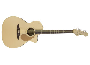 Fender Newporter Player