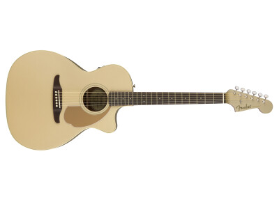 Fender Newporter Player