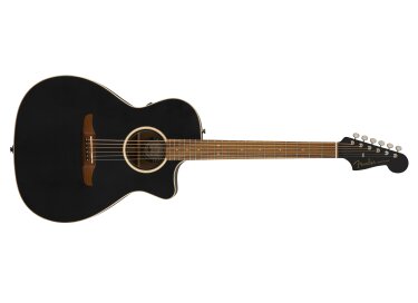 Fender Newporter Special