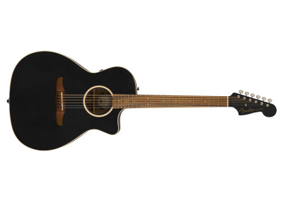 Fender Newporter Special