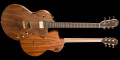 Lowden sort une guitare électrique