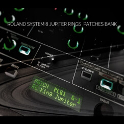 Barb and Co Jupiter Rings pour le Roland System-8