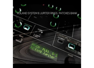 Barb and Co System-8 Jupiter Rings