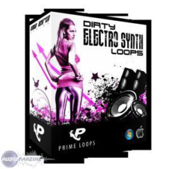Prime Loops Dirty Electro Synth Loops